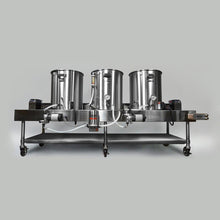Load image into Gallery viewer, FALSE