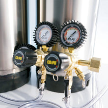 Load image into Gallery viewer, Home Brew Keg System w/ Two Cornelius (Corny) Ball Lock Kegs & Two Pressure Regulator