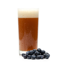 Load image into Gallery viewer, Funktional Fruit Sour Extract Beer Recipe Kit
