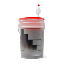 Load image into Gallery viewer, Electric Brew Share Enjoy Homebrew Starter Kit Box 2
